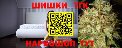 ECSTASY Гатчина