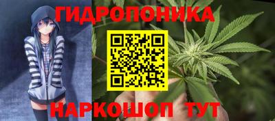 винт Гай