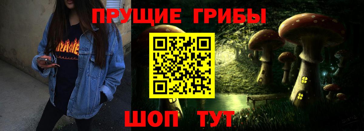 Мценск  Псилоцибиновые грибы Psilocybine cubensis  Вход с VPN 